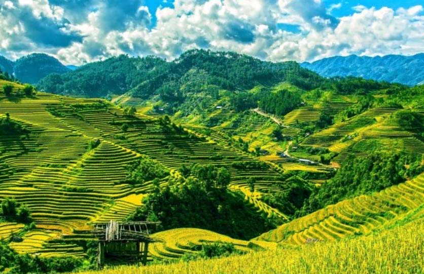 Việt Nam lọt top những thiên đường du lịch một mình - 10