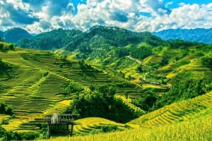 Việt Nam lọt top những thiên đường du lịch một mình
