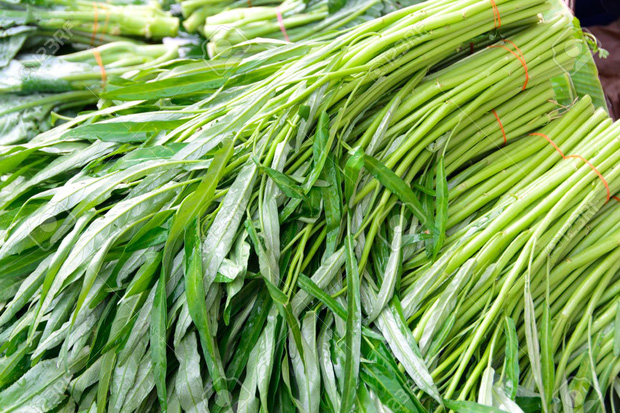 Một loại rau rất phổ biến ở Việt Nam có tên tiếng Anh cực kỳ “hack não”, đọc xong ai cũng tự hỏi liên quan chỗ nào? - Ảnh 2.